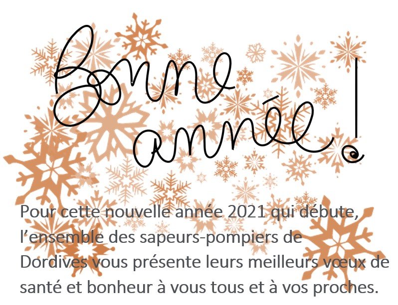carte 2 bonne année.jpg