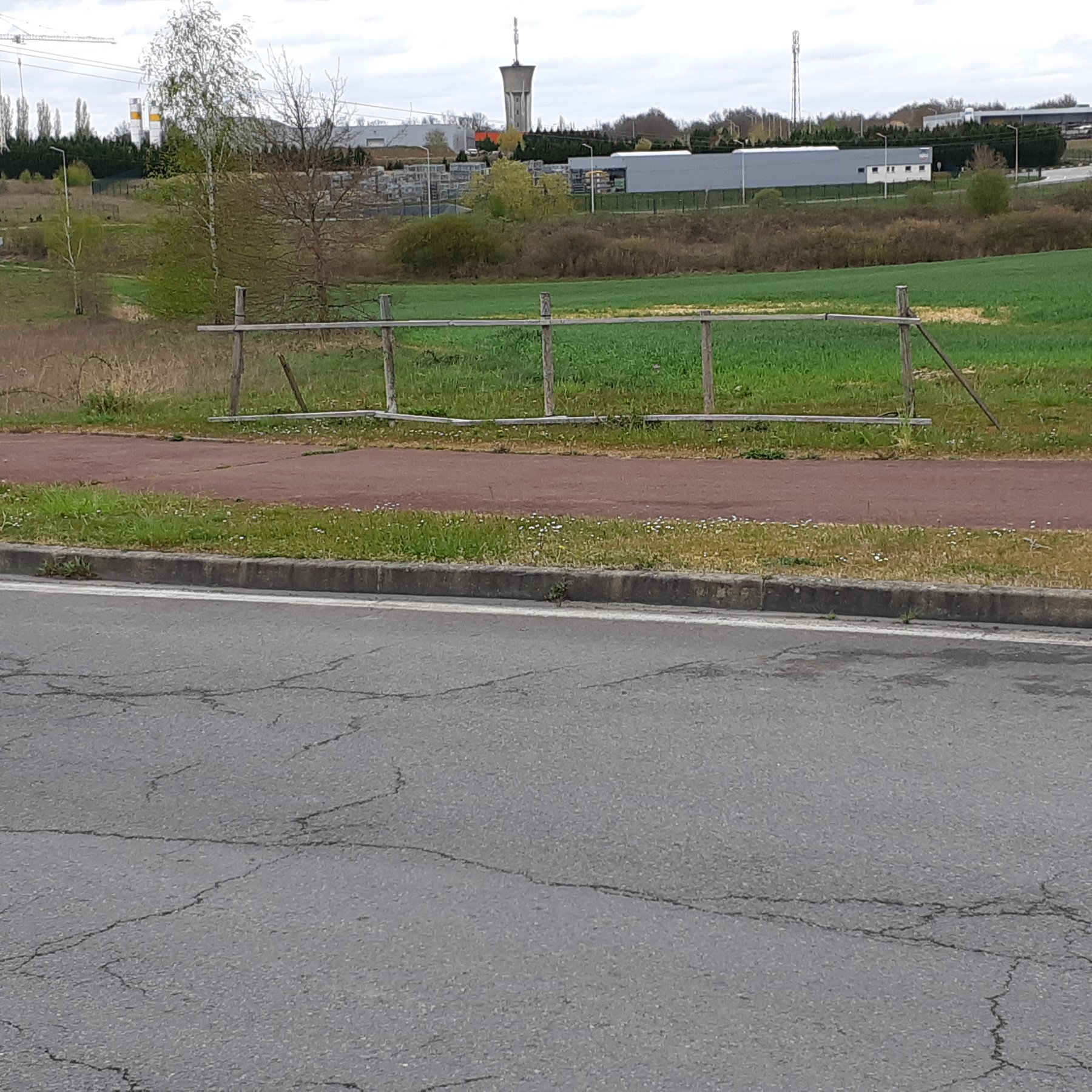 20210410_122516.jpg